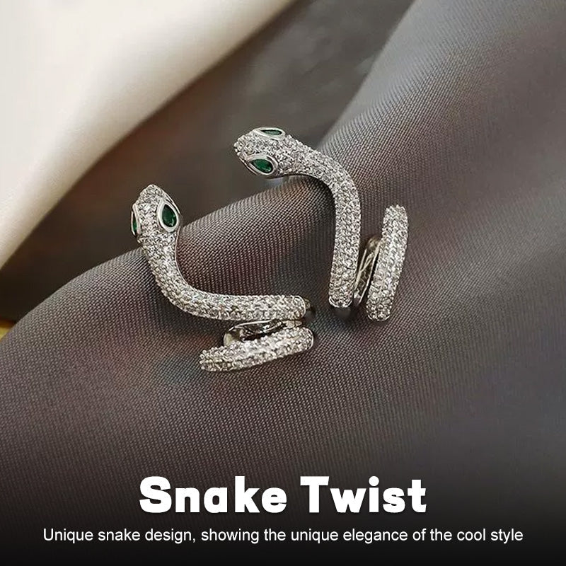 Smart Snake-Shaped Silver Ear Clip ๐