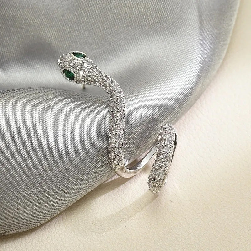 Smart Snake-Shaped Silver Ear Clip ๐