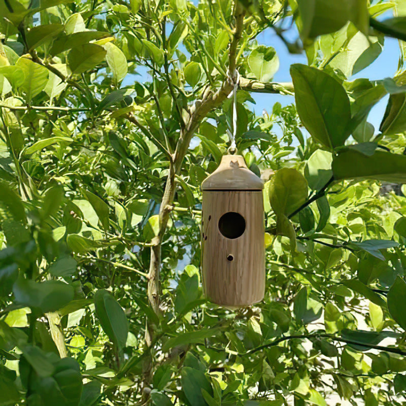 Wooden Hummingbird House-gift For Nature Lovers
