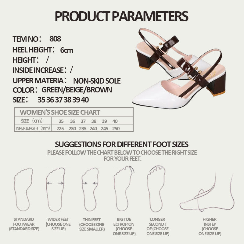 Women's Pointed Toe Chunky Heel Buckle Sandals
